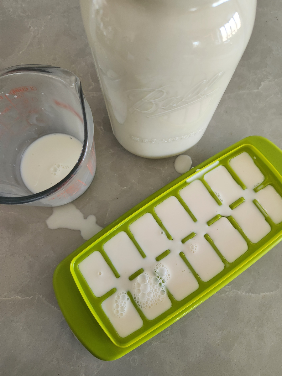 Goat milk poured into ice cube trays for freezing in small portions