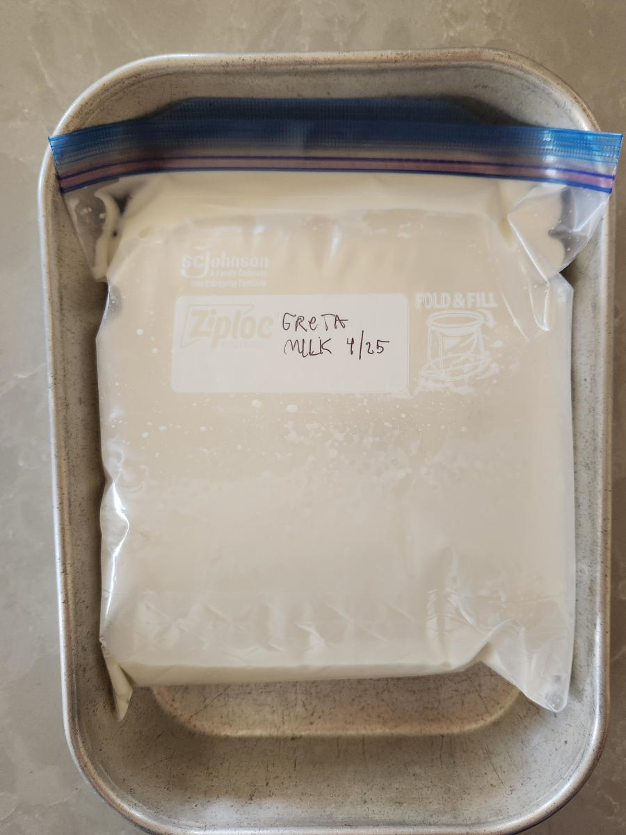 Frozen goat milk stored in a labeled freezer bag, laid flat