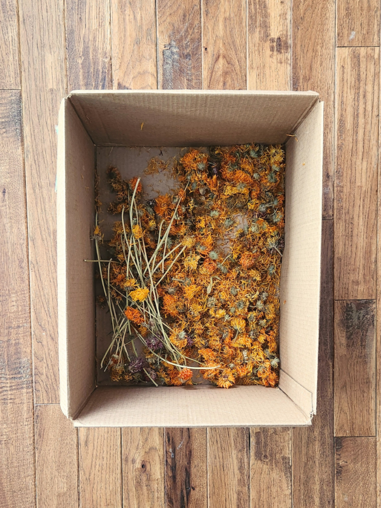 dried calendula flowers in a cardboard box 