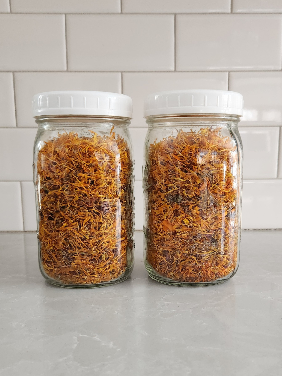 two mason jars filled with dried calendula flowers