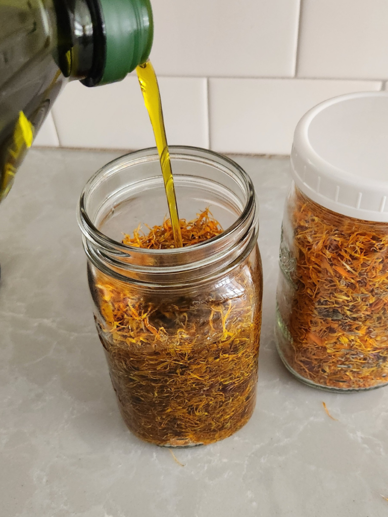 olive oil being poured into a mason jar with dried calendula flowers