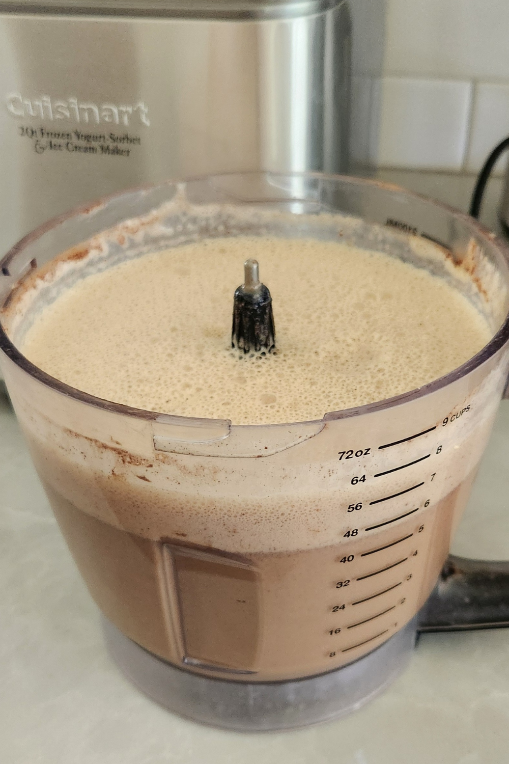 ice cream ingredients mixed up in food processor