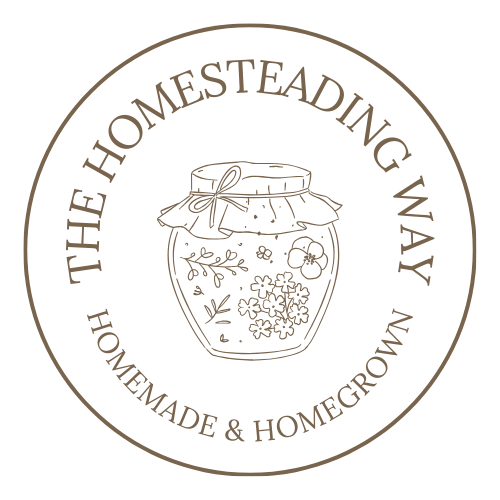 Lisa logo