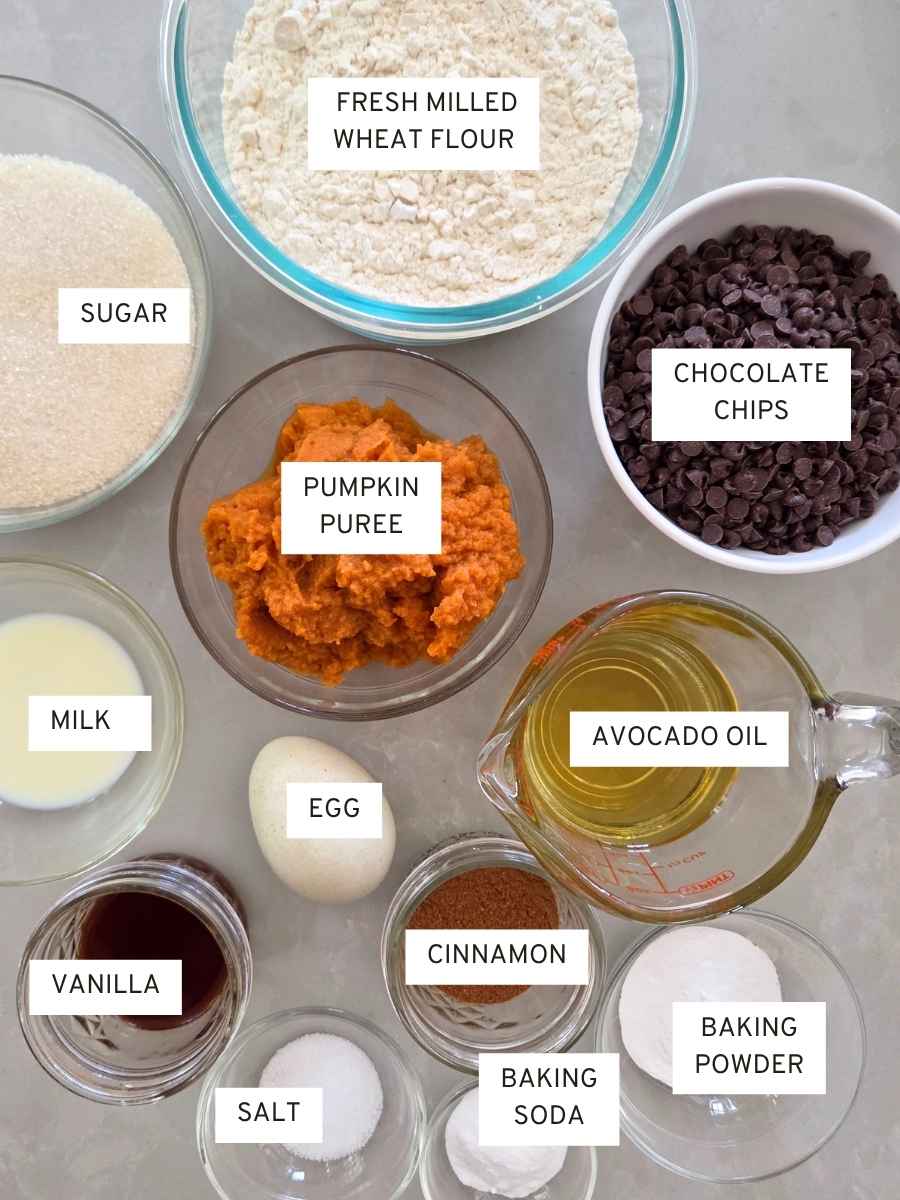 Overhead view of labeled ingredients for fresh milled pumpkin spice chocolate chip cookies, including flour, sugar, pumpkin purée, avocado oil, egg, milk, vanilla, pumpkin spice, chocolate chips, baking powder, baking soda, and salt in small bowls on a kitchen counter.