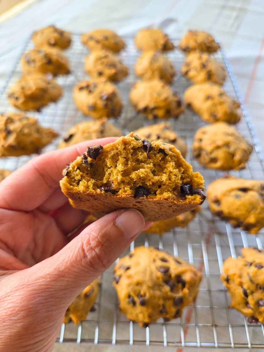 Hand holding a soft fresh milled flour pumpkin spice chocolate chip cookie, with more pumpkin cookies cooling on a wire rack in the background.