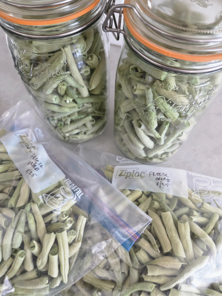 How to Freeze Dry Green Beans - The Fresh Milled Farmhouse