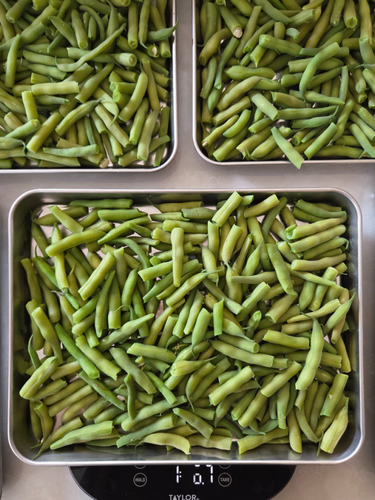 How to Freeze Dry Green Beans - The Fresh Milled Farmhouse