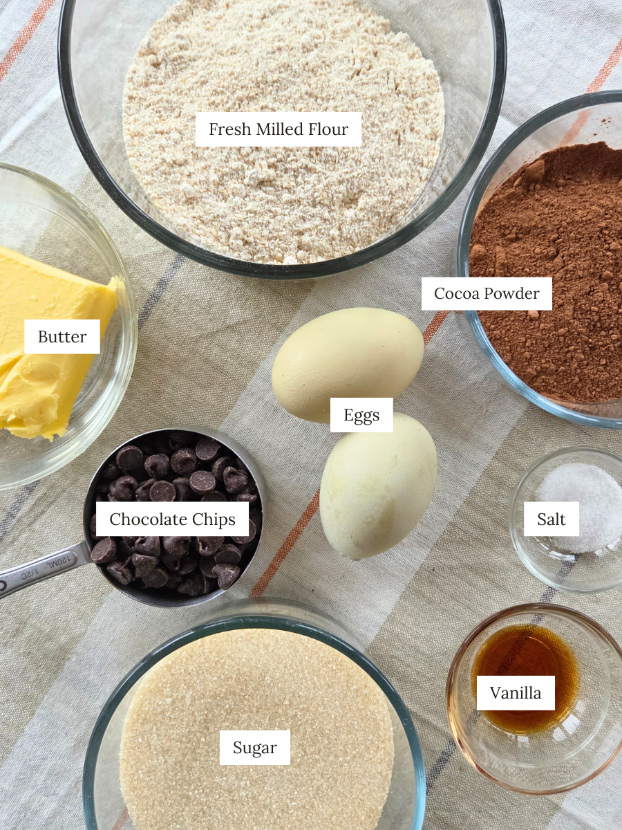 Overhead view of fresh-milled flour brownie ingredients on a table, including flour, cocoa powder, butter, eggs, sugar, vanilla, salt, and chocolate chips, each labeled