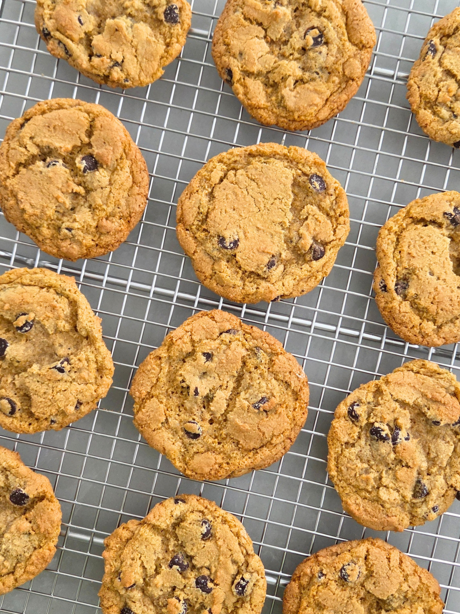 Fresh milled flour chocolate chip cookies cooling on a wire rack, with golden-brown edges, soft centers, and visible chocolate chips.