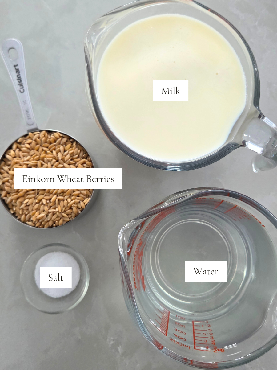 Ingredients for fresh milled einkorn cream of wheat laid out on a counter: whole einkorn berries, milk, water, and salt.