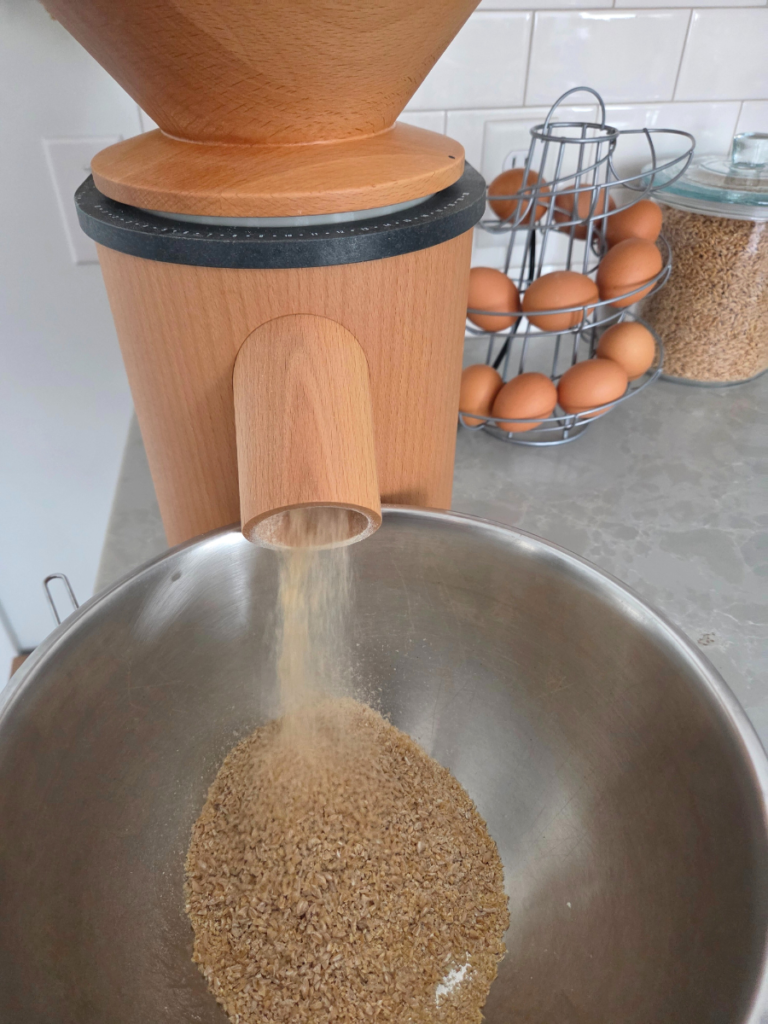 Grain mill grinding whole einkorn berries into coarse meal, falling into a stainless steel mixing bowl.