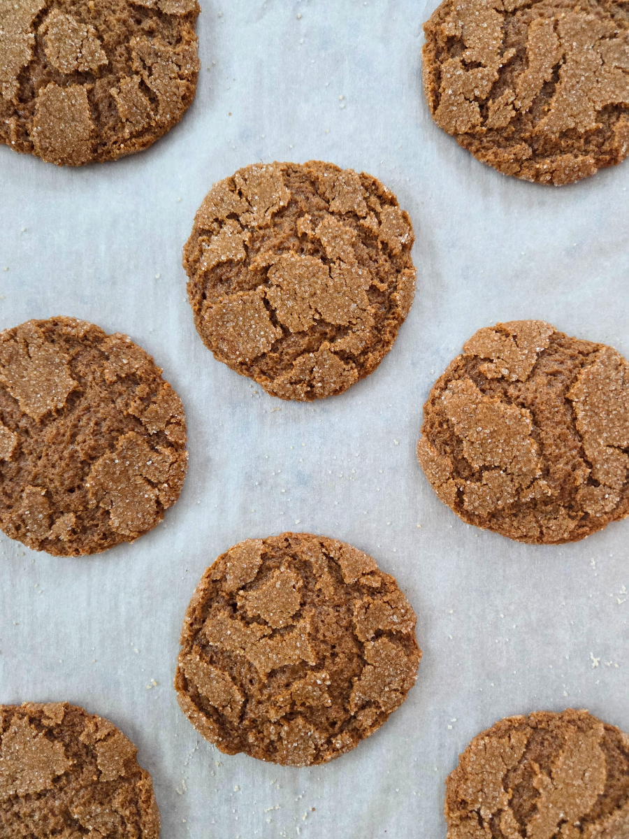 Overhead view of chewy gingerbread cookies made with fresh milled flour, evenly spaced on parchment paper.