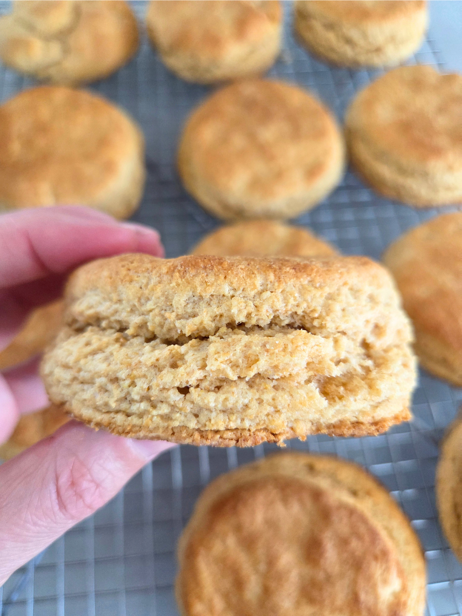 Fresh milled flour biscuit split open to show light, fluffy interior and flaky layers