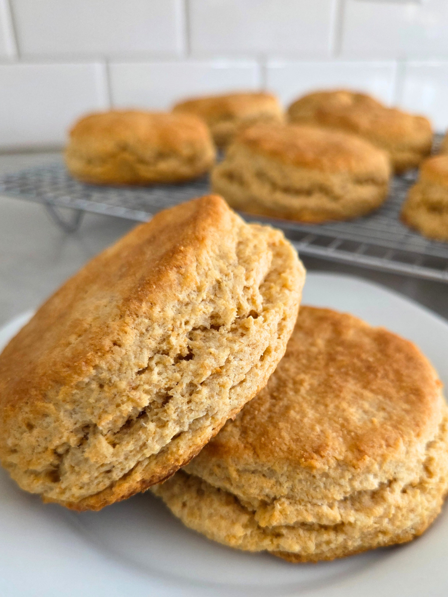 Close-up of a fluffy fresh milled flour biscuit with tender crumb and golden edges