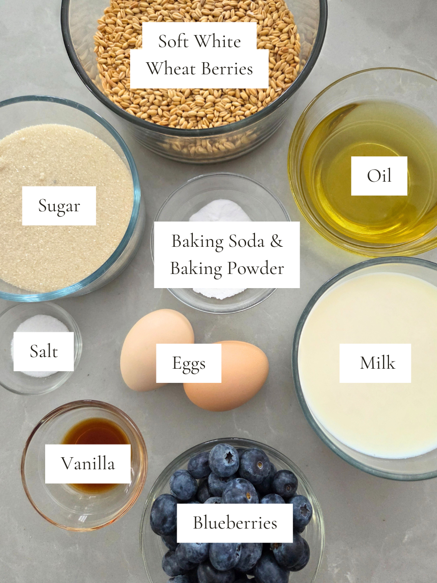 Ingredients for fresh milled flour blueberry muffins arranged on a counter, including soft white wheat berries, sugar, oil, eggs, milk, blueberries, vanilla, salt, baking soda, and baking powder.