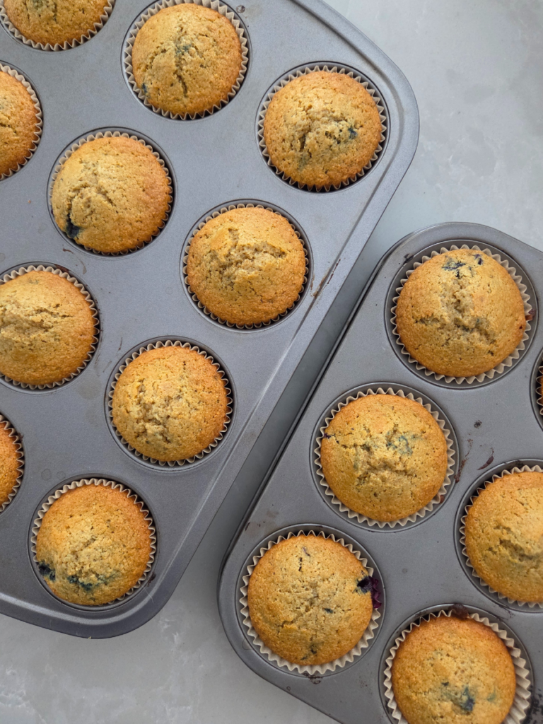 Fresh milled flour blueberry muffins baked until golden brown in a muffin tin.