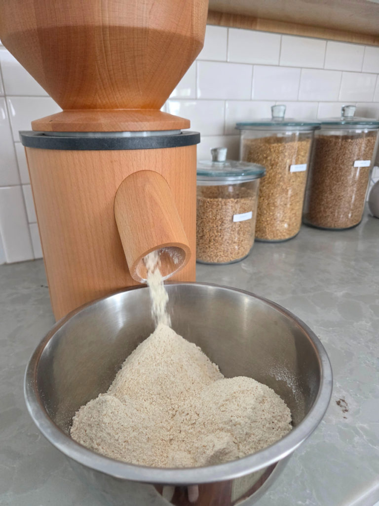 Fresh milled soft white wheat flour being ground directly into a mixing bowl from a grain mill.