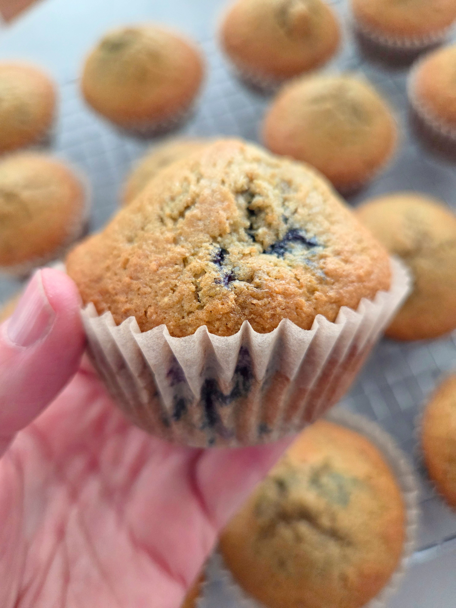Fresh milled flour blueberry muffin held in hand, showing domed top, tender crumb, and blueberries baked throughout.