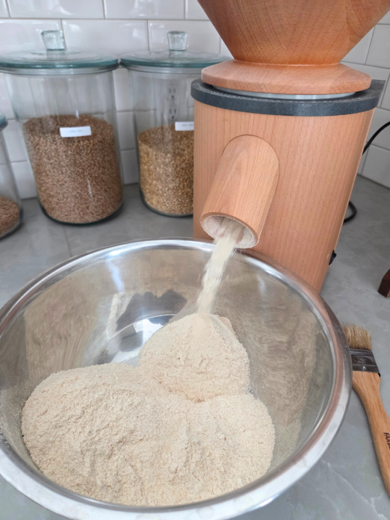 Hard white wheat berries being ground into flour using a Mockmill grain mill.