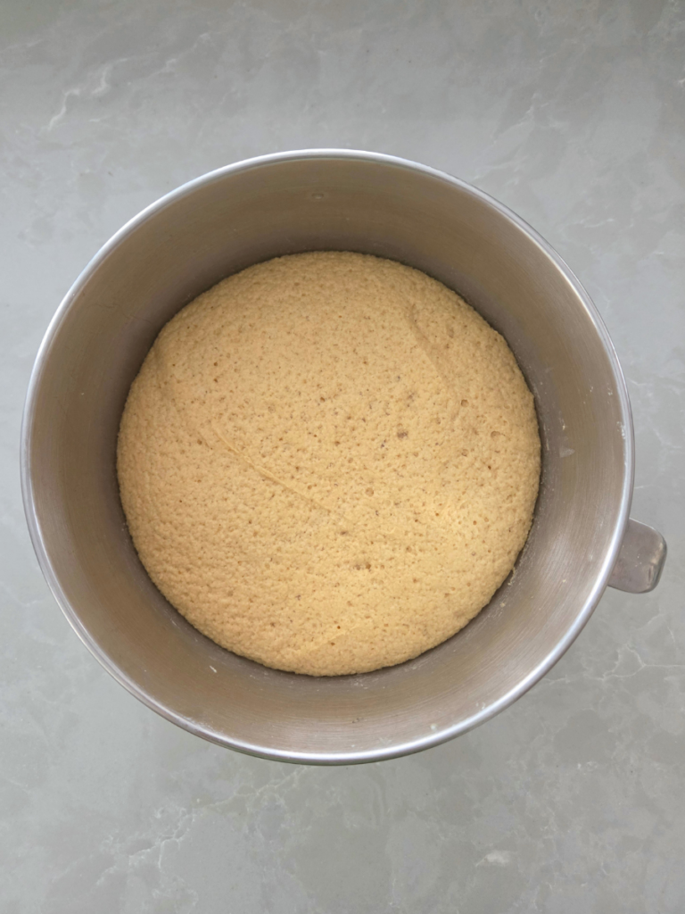 Fresh milled breadstick dough after first rise, doubled in size in mixing bowl.