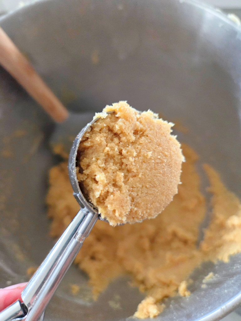 Cookie scoop filled with fresh milled flour snickerdoodle dough before rolling in cinnamon sugar.