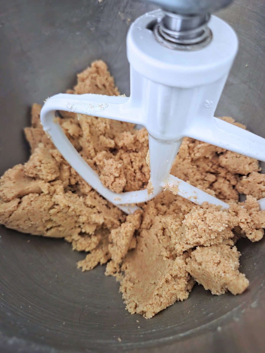 Graham cracker dough mixed until soft and holding together