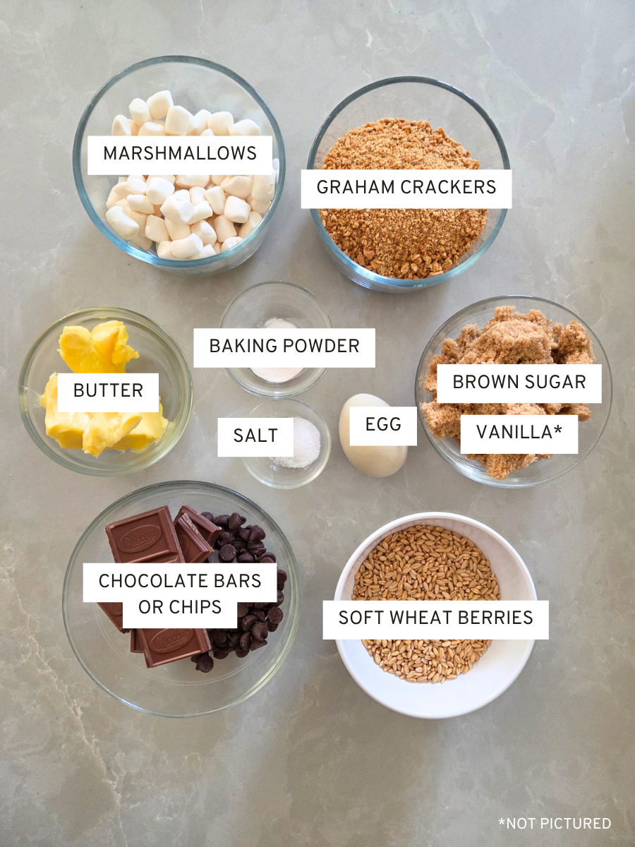 Ingredients for fresh milled flour s'mores bars arranged in bowls with soft wheat berries, chocolate, marshmallows, and graham crackers.