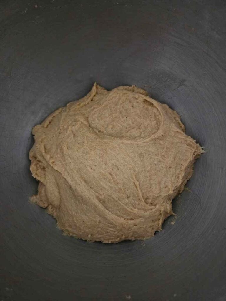 Soft dough after kneading, ready for the first rise.
