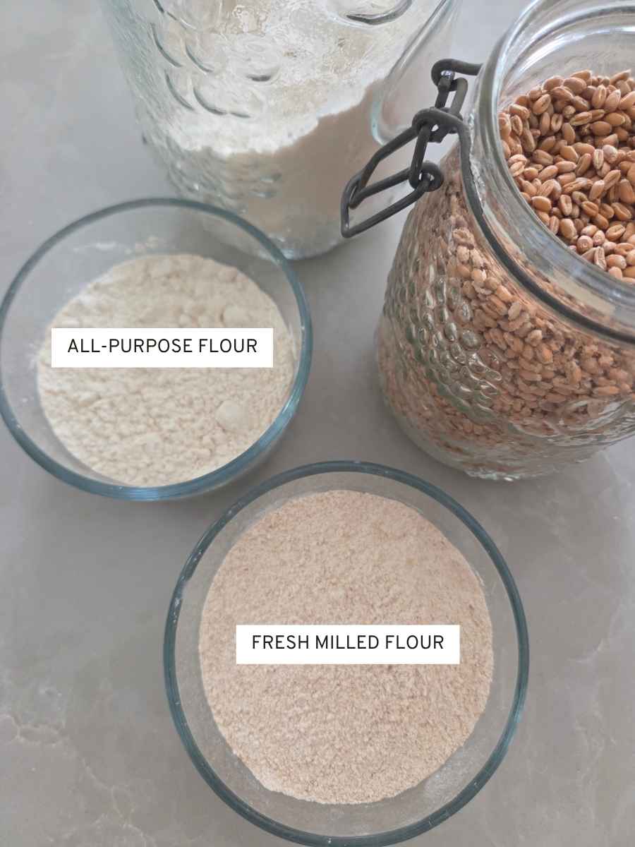 Fresh milled flour compared with all-purpose flour and whole wheat berries