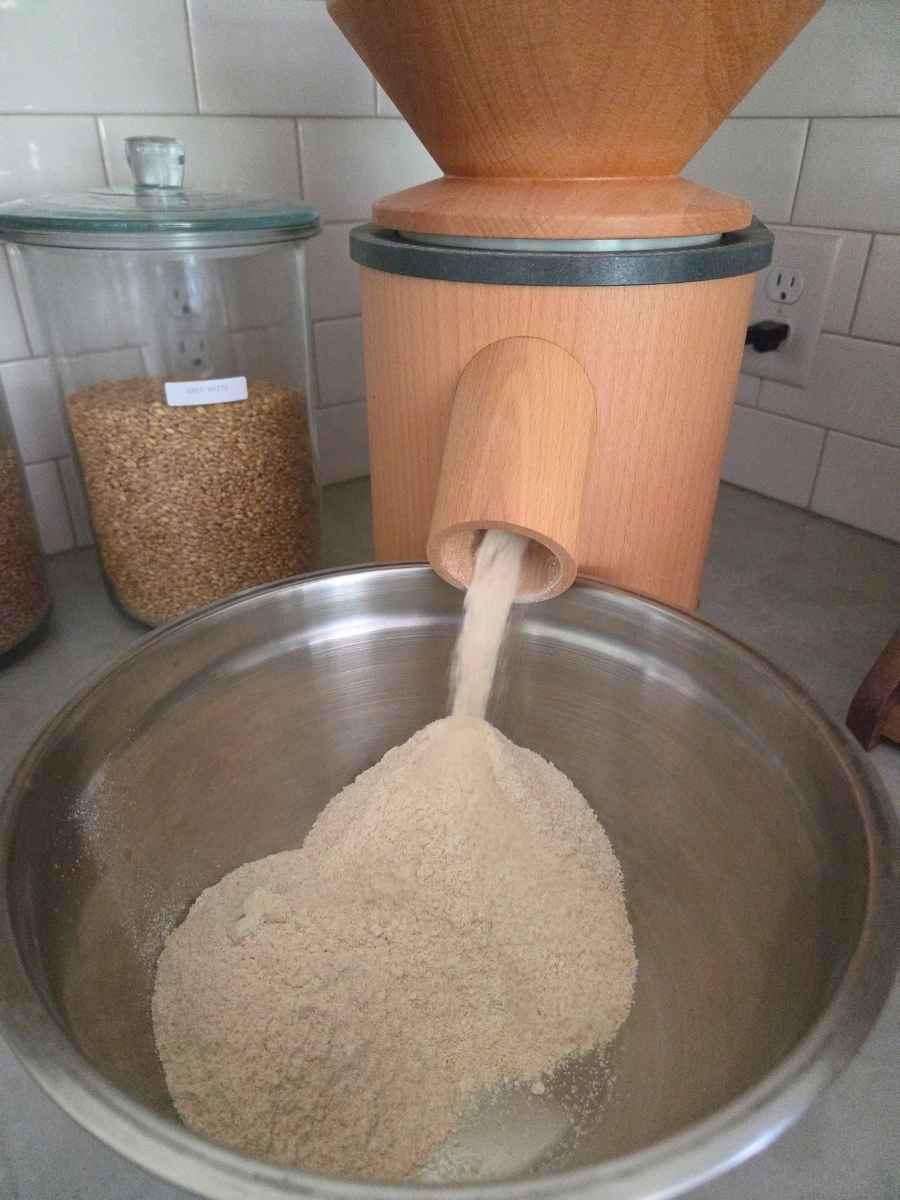 Freshly milled hard white wheat flour coming out of a grain mill