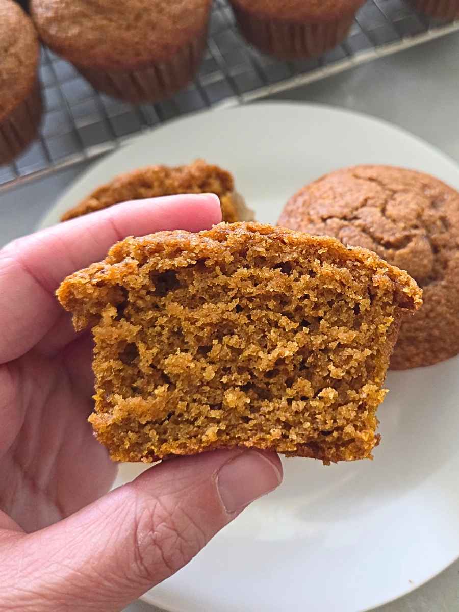 Close-up of a fresh milled flour pumpkin muffin showing its soft, fluffy crumb.