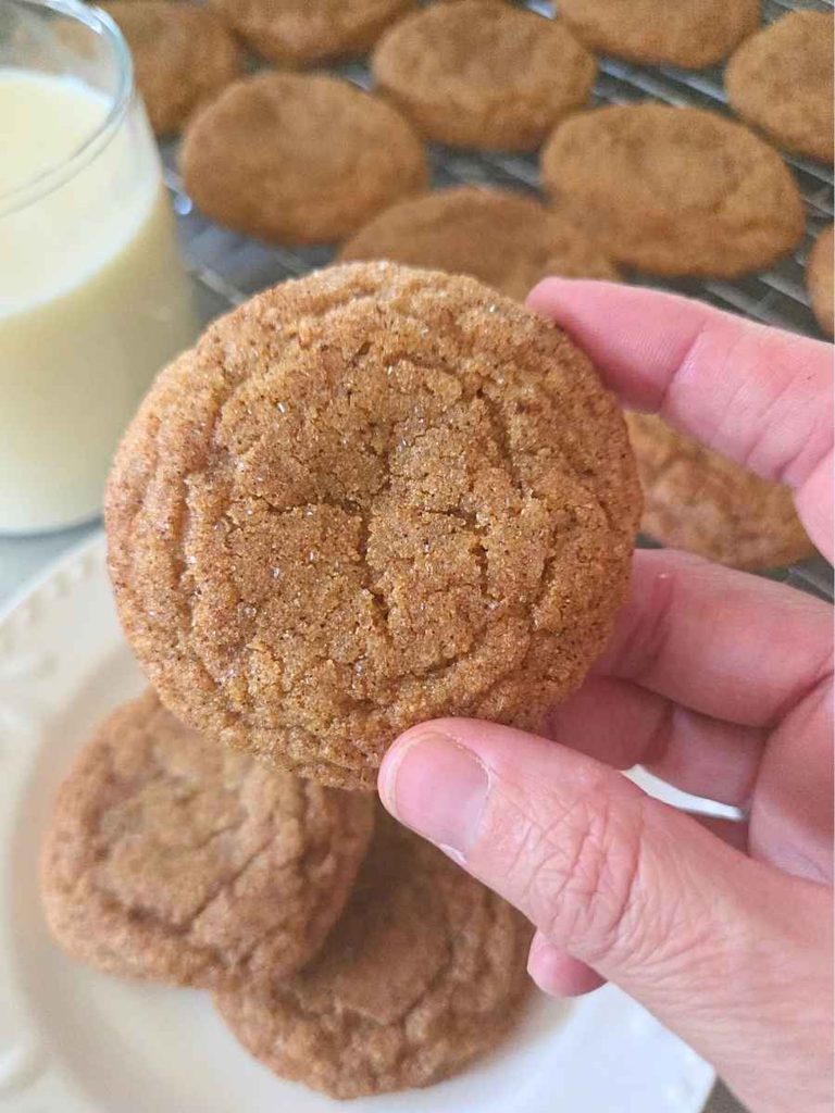 Fresh milled flour pumpkin snickerdoodle with a crinkled cinnamon sugar top.