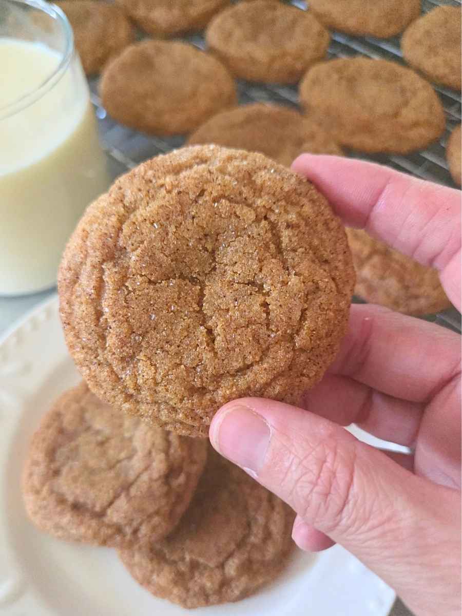 Fresh milled flour pumpkin snickerdoodle with a crinkled cinnamon sugar top.