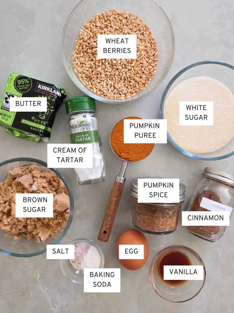 Ingredients for fresh milled flour pumpkin snickerdoodles, including wheat berries, pumpkin puree, butter, brown and white sugar, egg, vanilla, cinnamon, pumpkin spice, cream of tartar, baking soda, and salt.