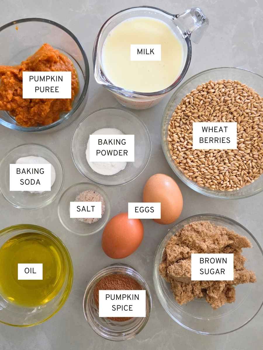 Fresh milled flour pumpkin waffle ingredients including wheat berries, pumpkin puree, milk, eggs, brown sugar, olive oil, and spices.