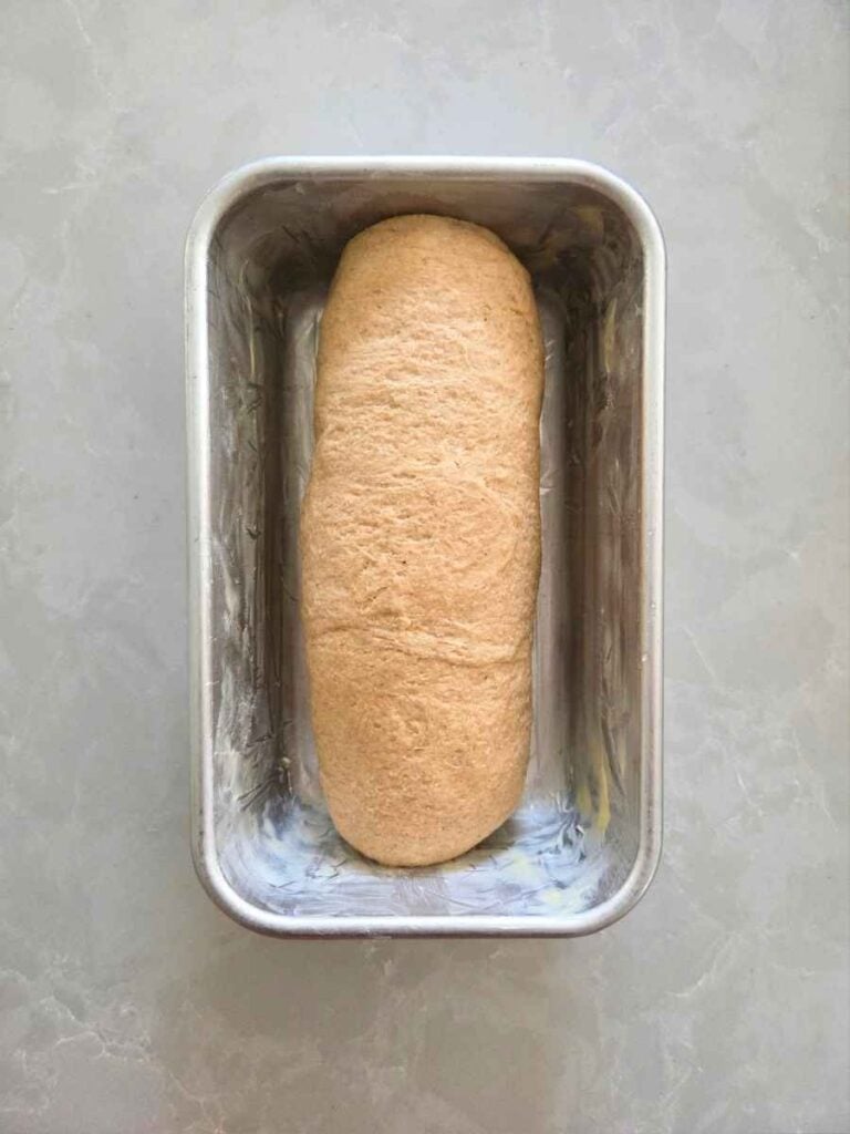 Shaped bread dough placed seam-side down in a greased loaf pan before the final rise.