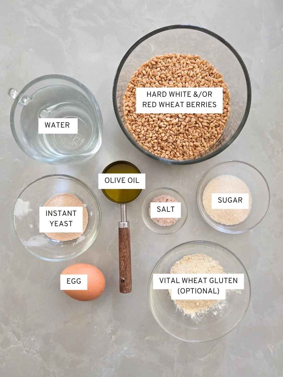 Ingredients for fresh milled flour sandwich bread recipe, including wheat berries, water, olive oil, sugar, egg, salt, instant yeast, and optional vital wheat gluten.