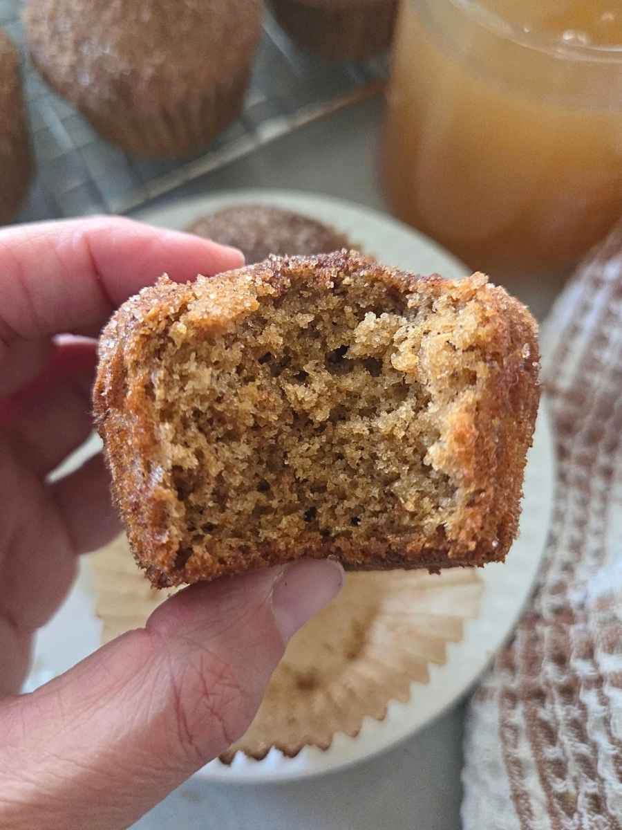 Close-up of a fresh milled flour apple cider donut muffin showing the soft, spongy crumb inside