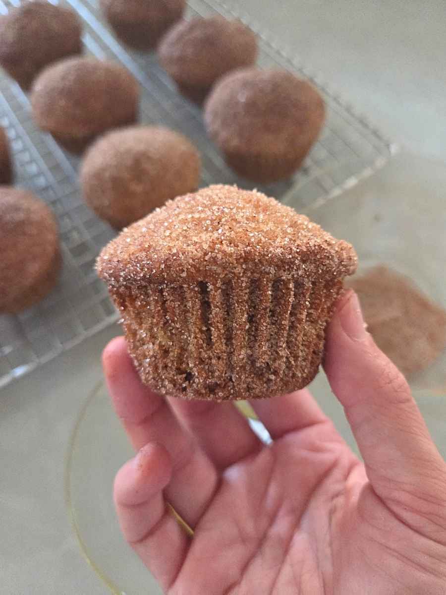 Fresh milled flour apple cider donut muffin held up to show its tall domed top and cinnamon sugar coating