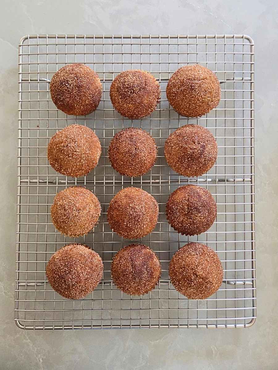 Warm cinnamon sugar coated muffins cooling on a wire rack