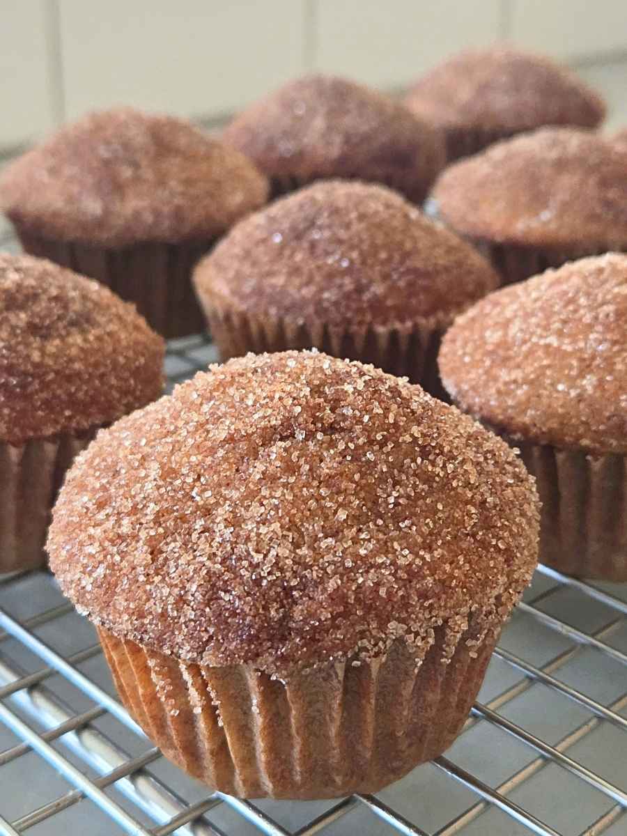 Fresh milled flour apple cider donut muffin with a tall domed top and cinnamon sugar coating on a cooling rack