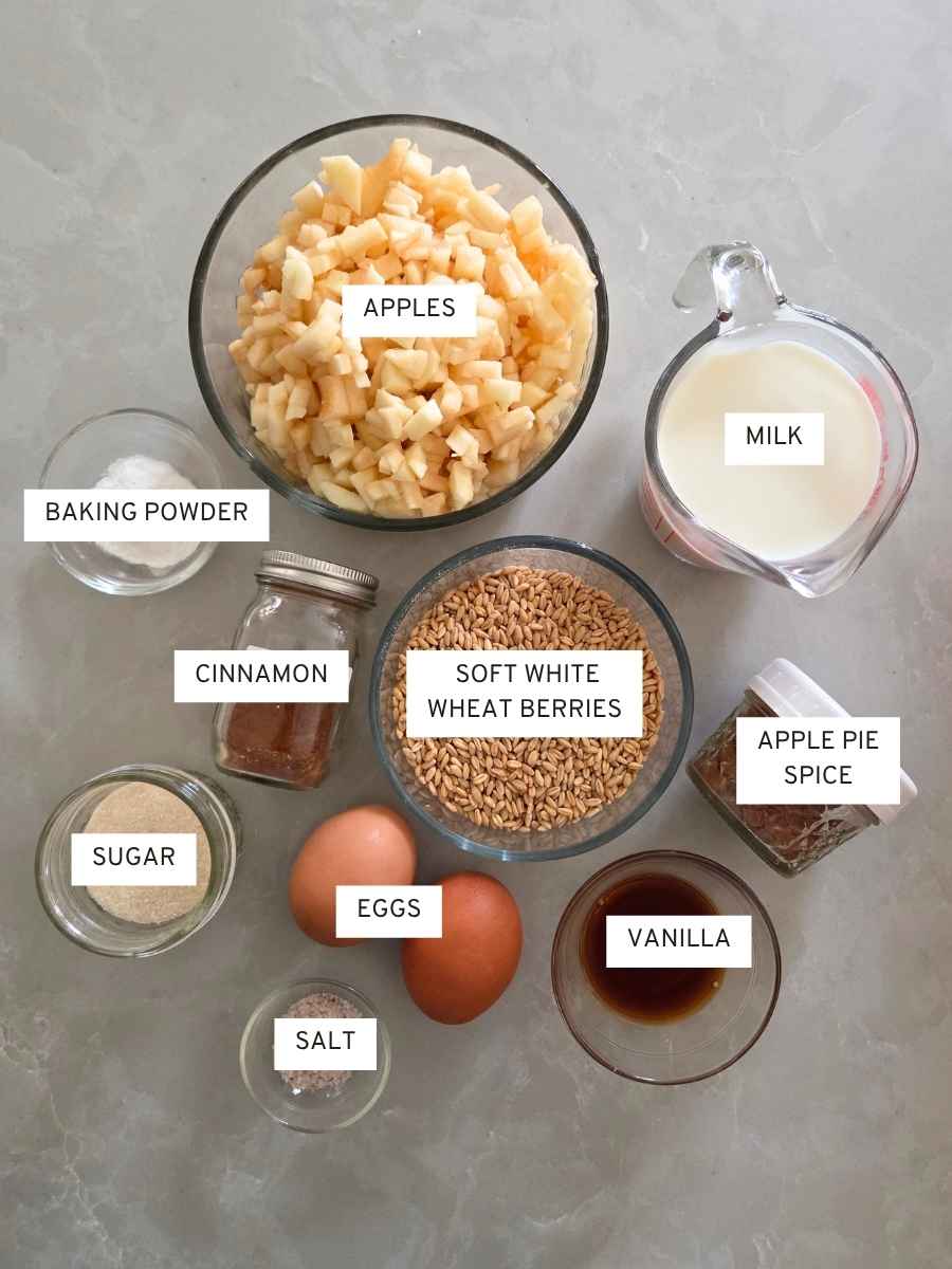 Ingredients for fresh milled flour apple fritter pancakes arranged in labeled bowls, including diced apples, soft white wheat berries, milk, eggs, sugar, and spices.