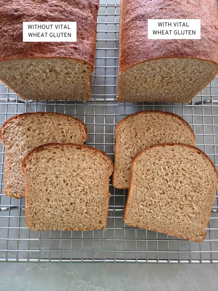 Side-by-side comparison of fresh milled flour sandwich bread made without vital wheat gluten on the left and with vital wheat gluten on the right, showing the difference in crumb texture.